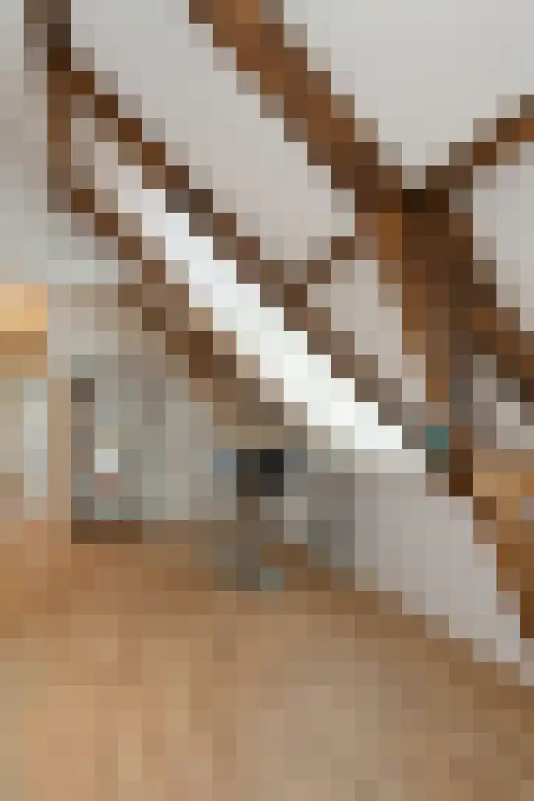 Kasteelweg 7 a Baexem thumbnail 16