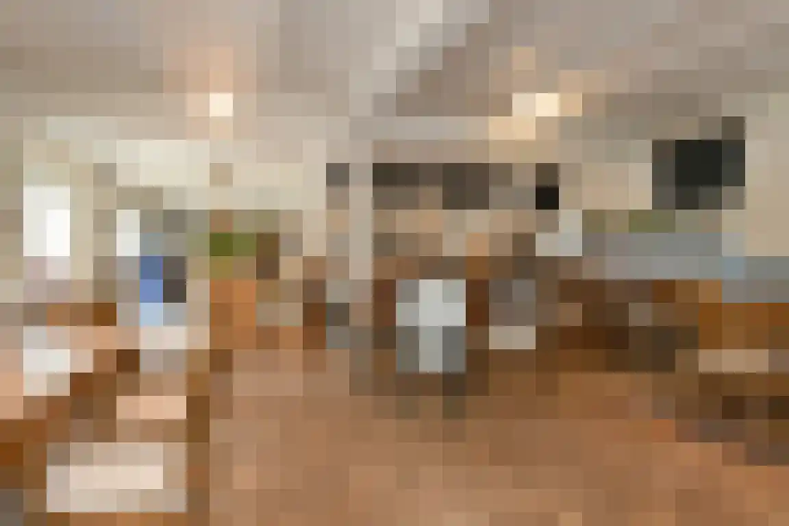 Kasteelweg 7 a Baexem thumbnail 39