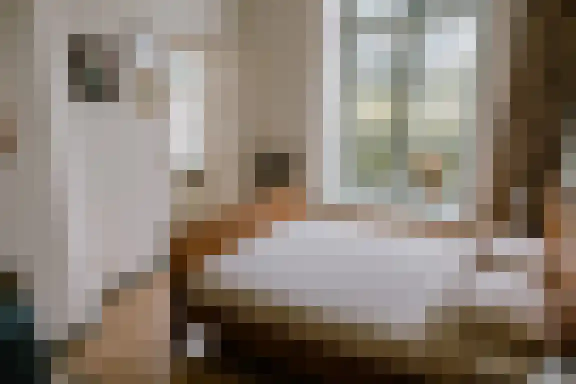 Kasteelweg 7 Baexem thumbnail 11