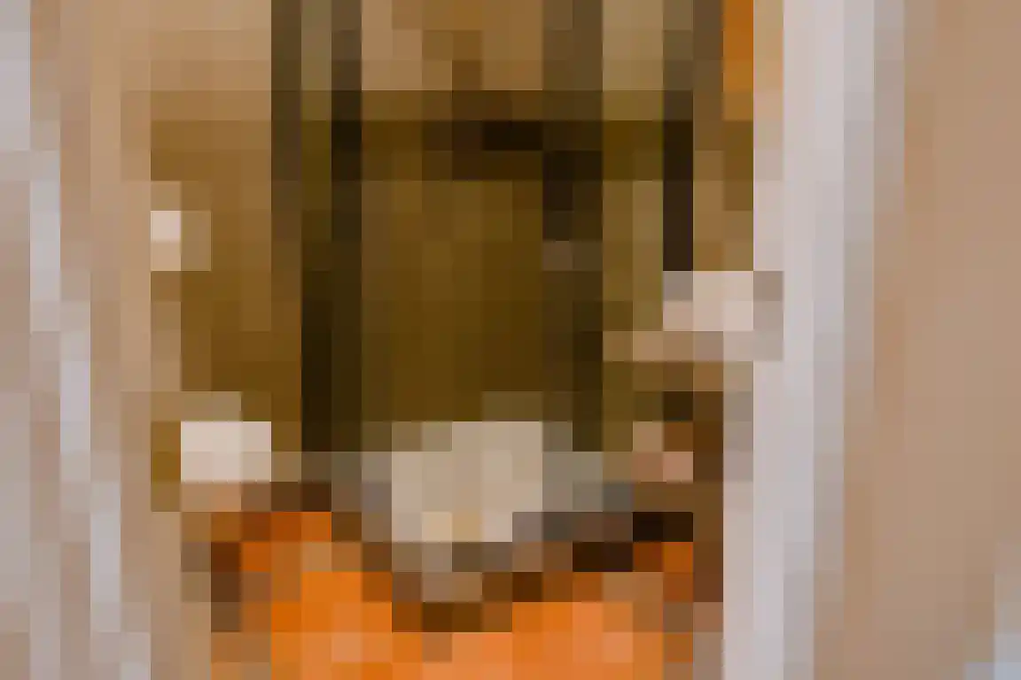 Kasteelweg 7 Baexem thumbnail 19