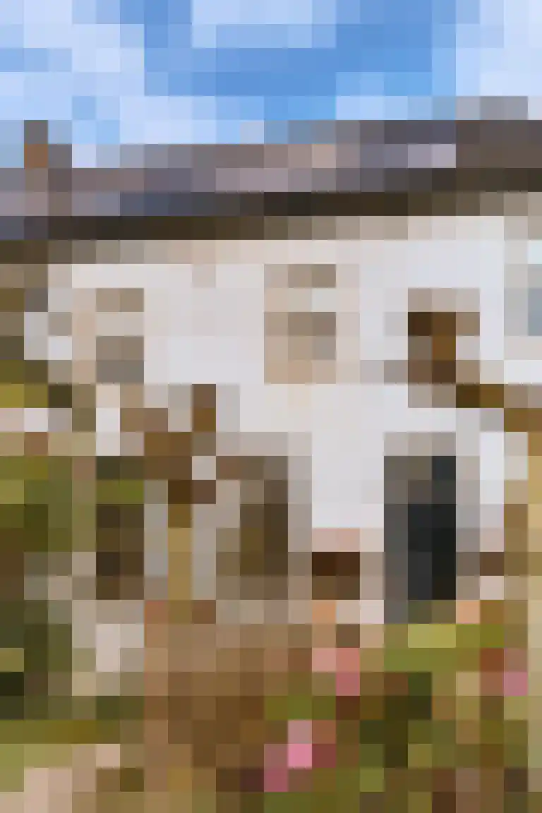 Kasteelweg 7 Baexem thumbnail 36