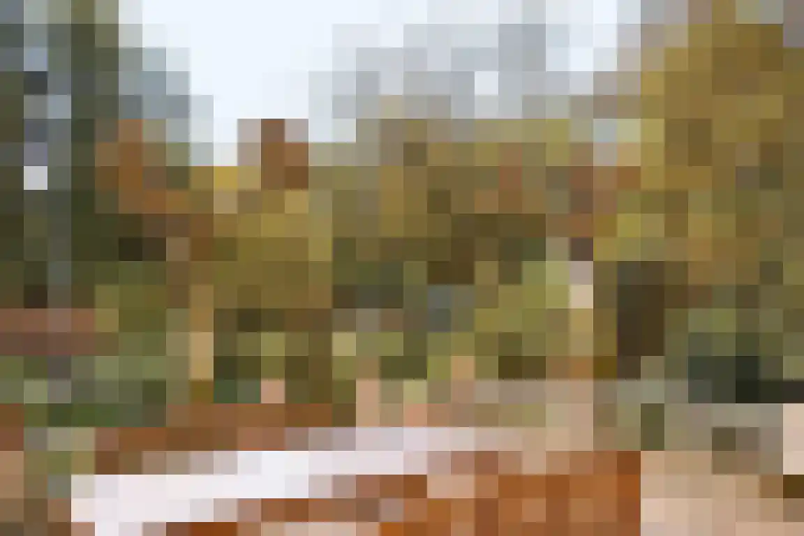 Kasteelweg 7 Baexem thumbnail 37