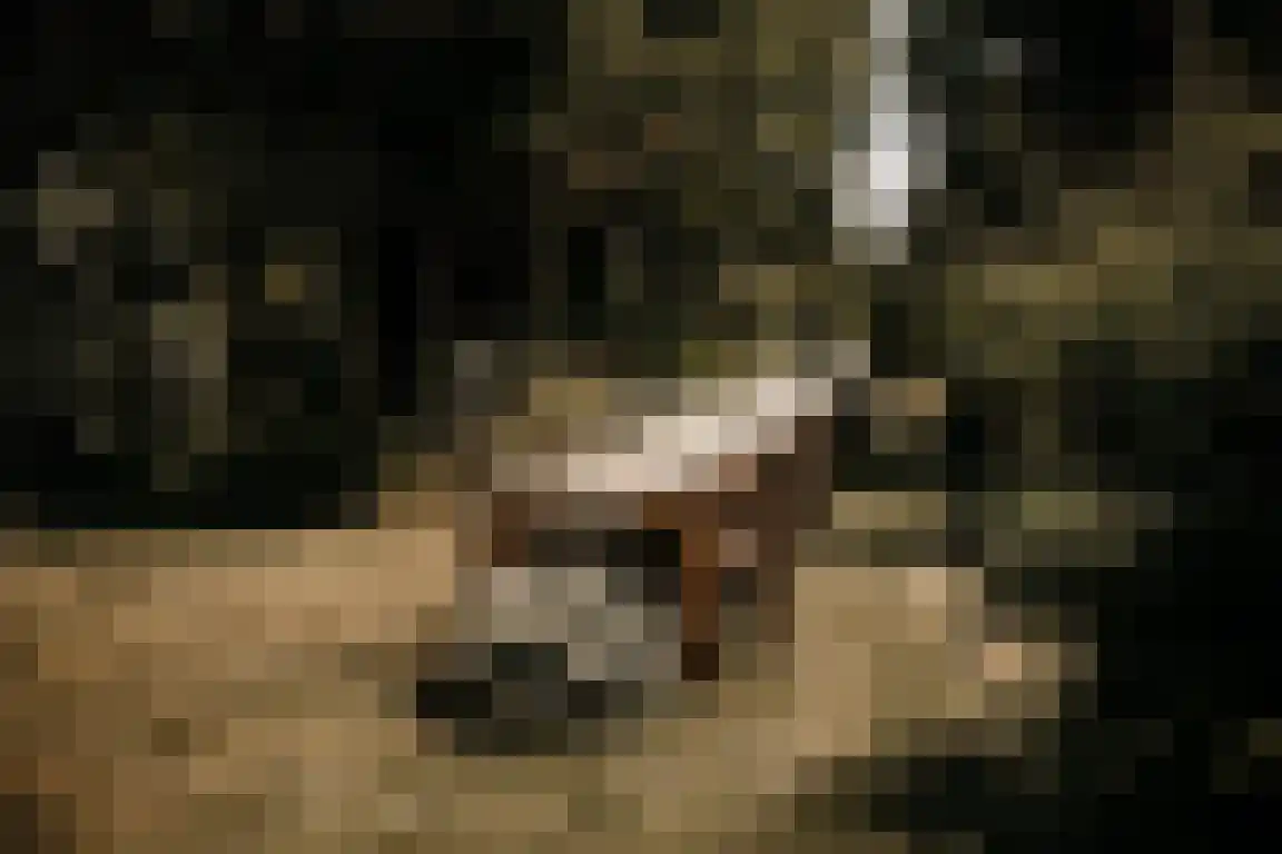 Kasteelweg 7 Baexem thumbnail 38