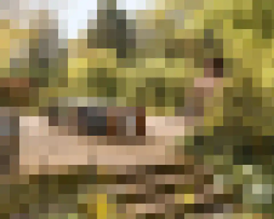 Kasteelweg 7 Baexem thumbnail 40