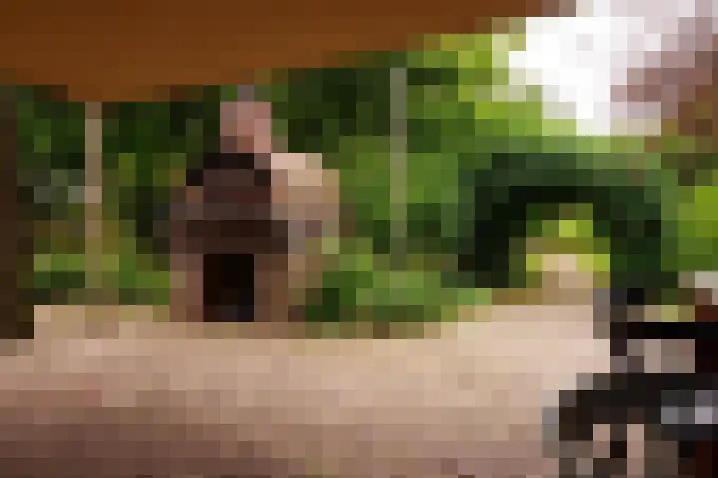 Kasteelweg 7 Baexem thumbnail 51