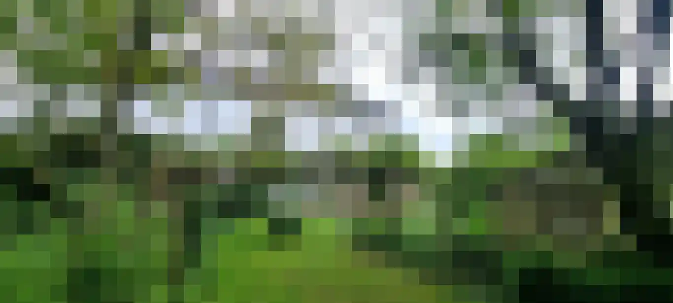 Kasteelweg 7 Baexem thumbnail 54