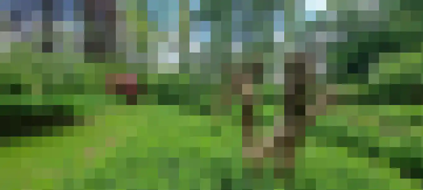 Kasteelweg 7 Baexem thumbnail 56