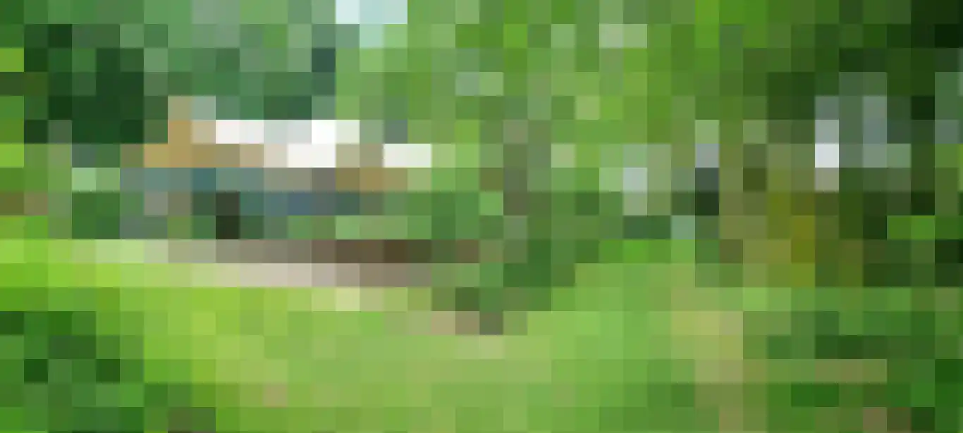 Kasteelweg 7 Baexem thumbnail 59