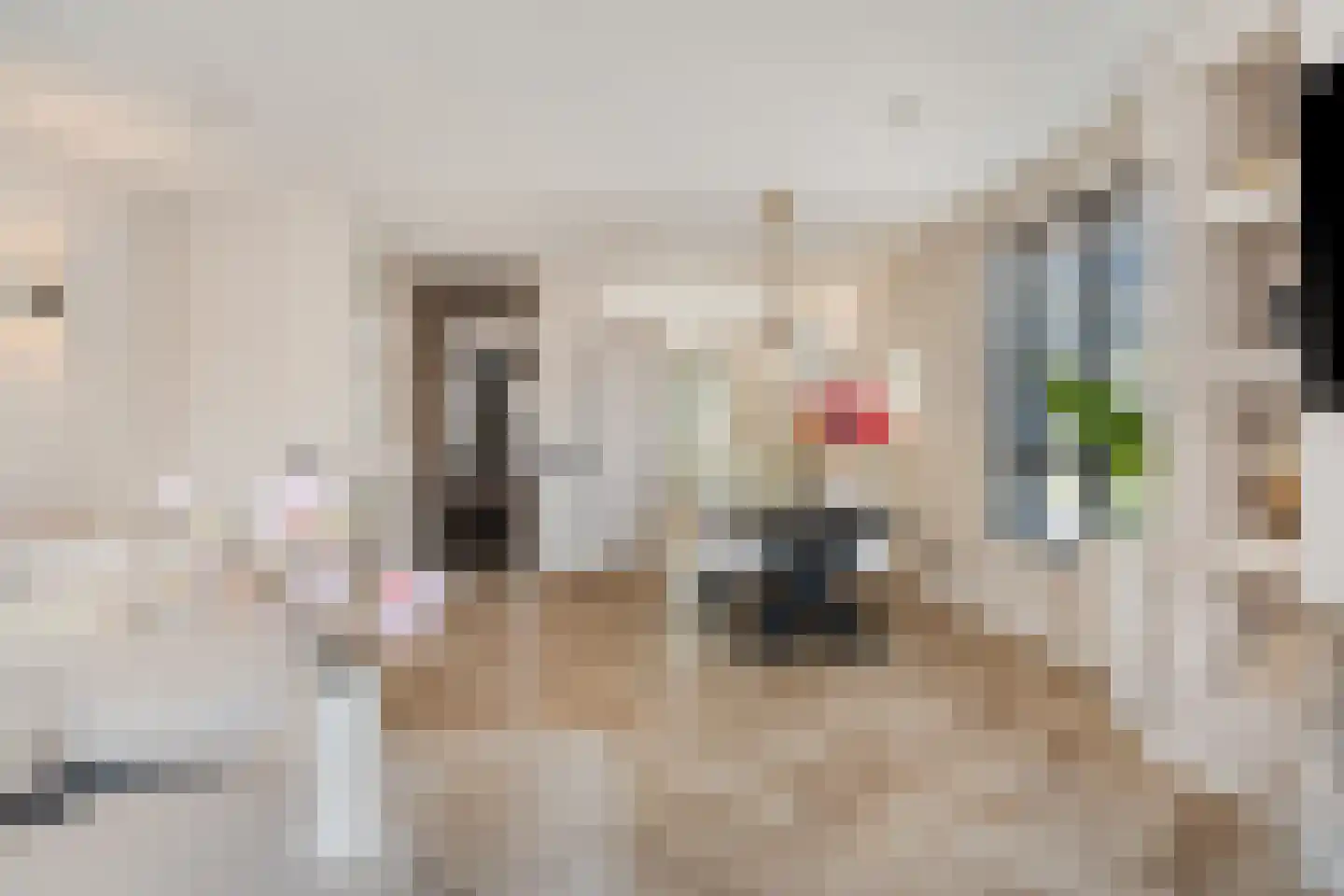 Kastelein 19 Wijchen thumbnail 12