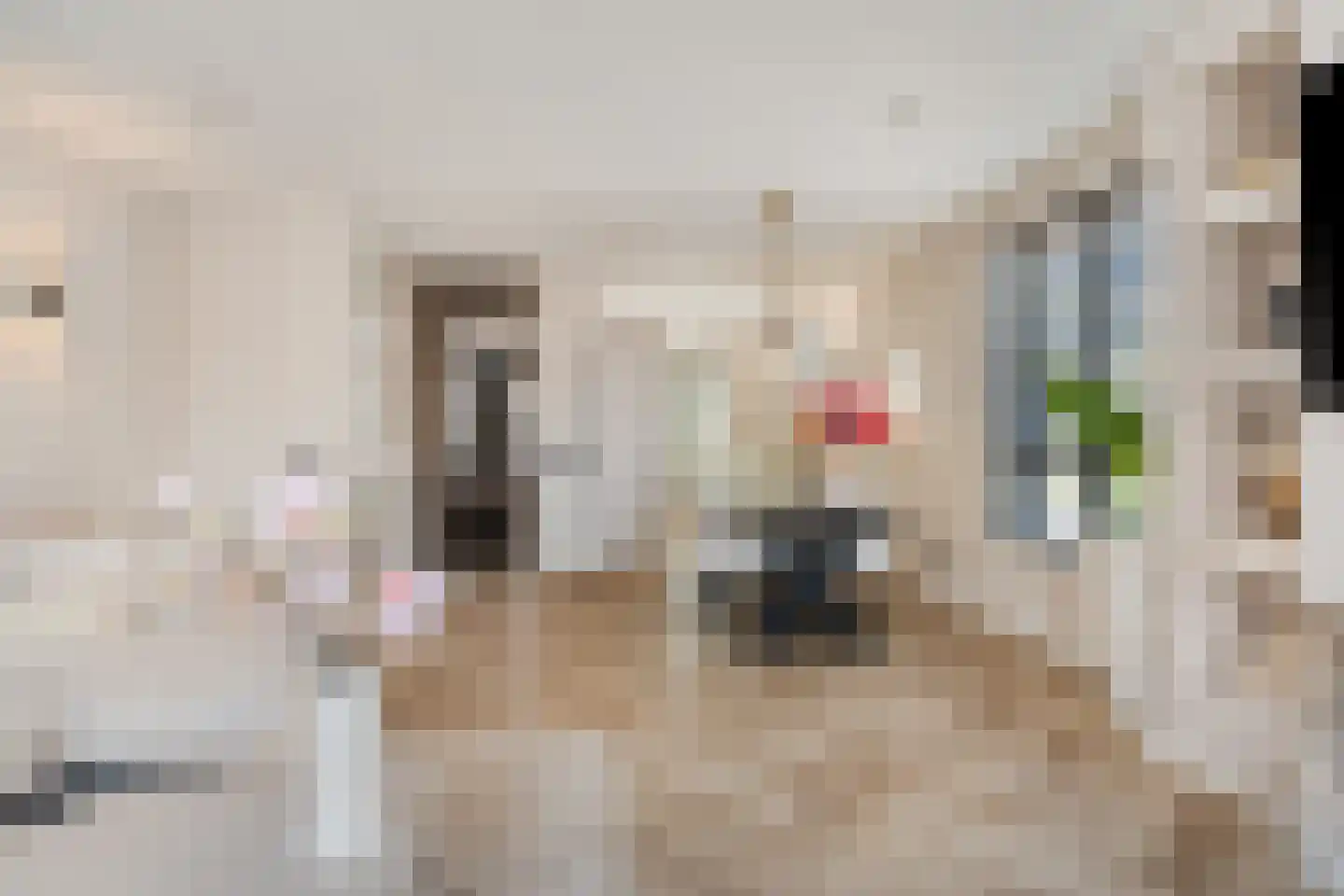 Kastelein 19 Wijchen thumbnail 12