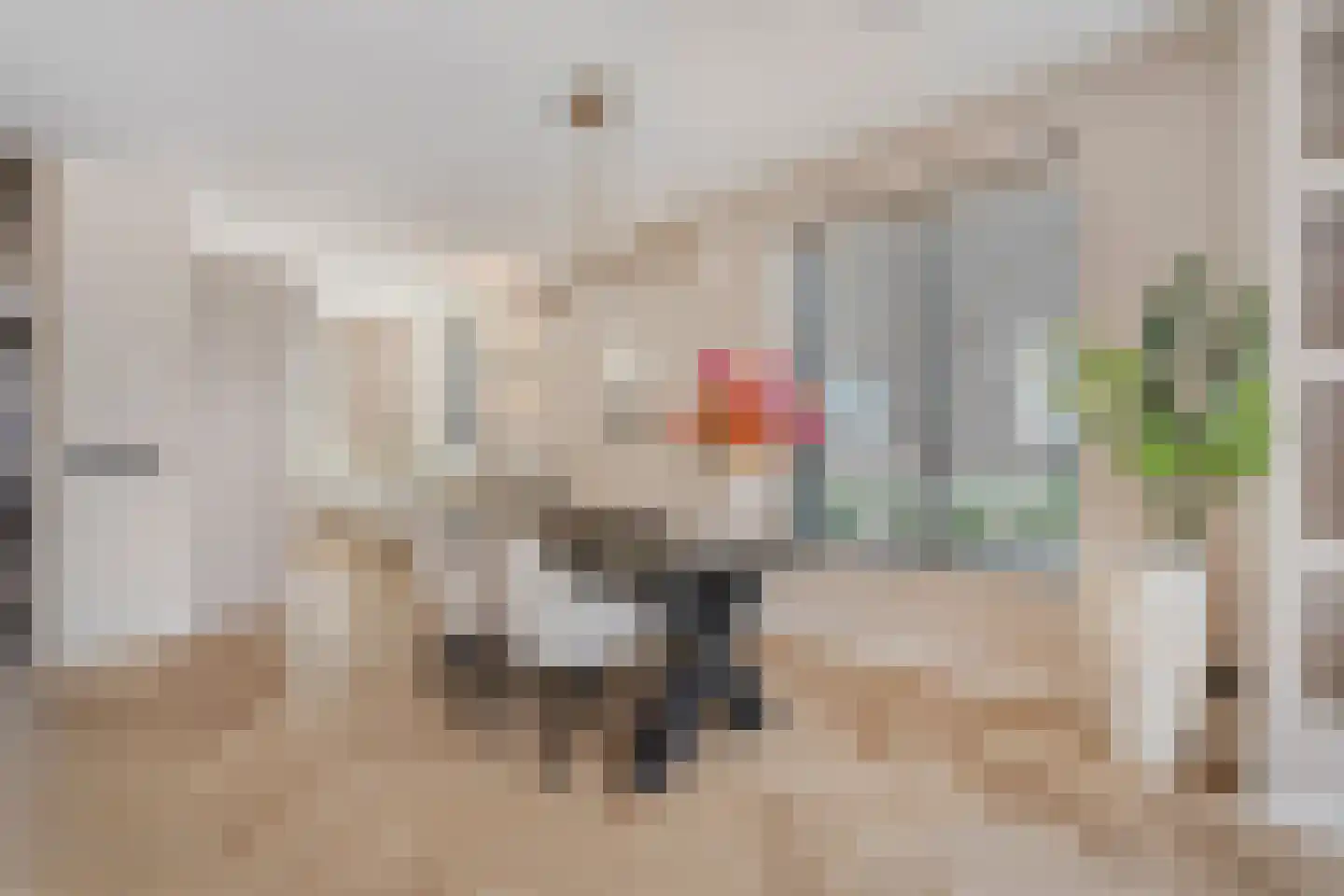 Kastelein 19 Wijchen thumbnail 13