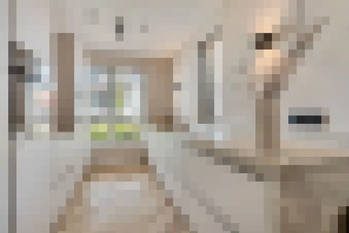 Kastelein 19 Wijchen thumbnail 15