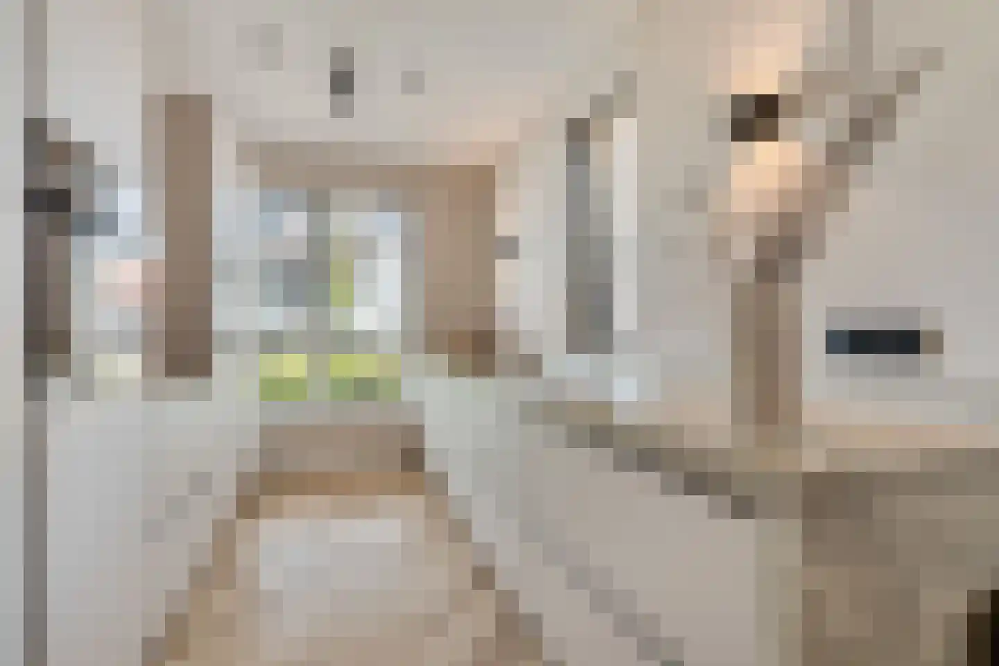 Kastelein 19 Wijchen thumbnail 15