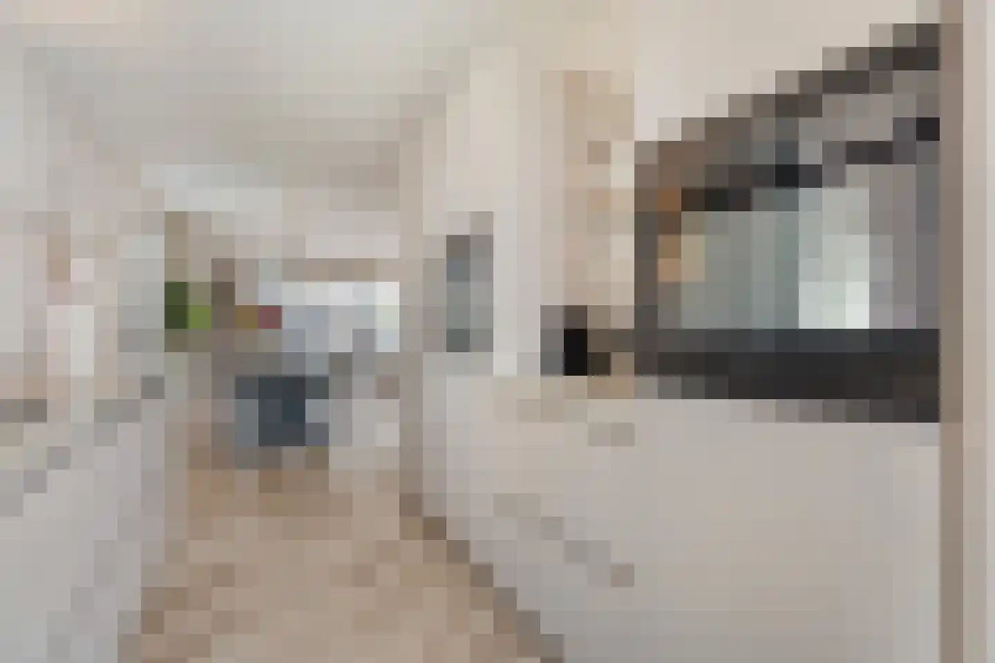 Kastelein 19 Wijchen thumbnail 16