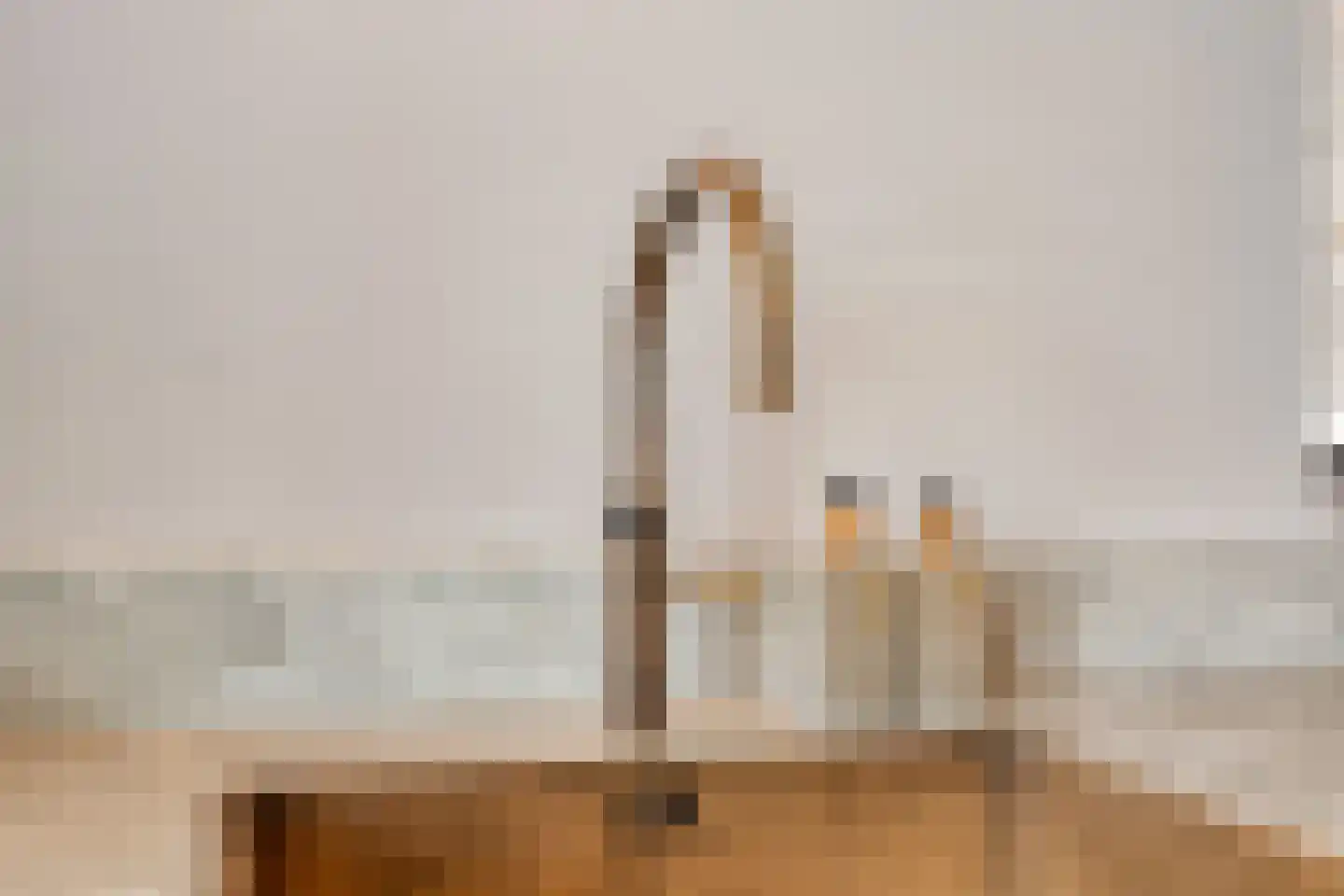 Kastelein 19 Wijchen thumbnail 18
