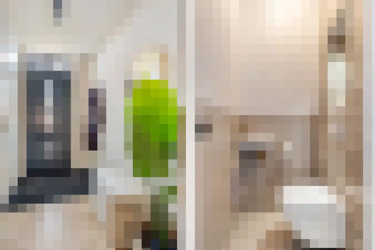 Kastelein 19 Wijchen thumbnail 22