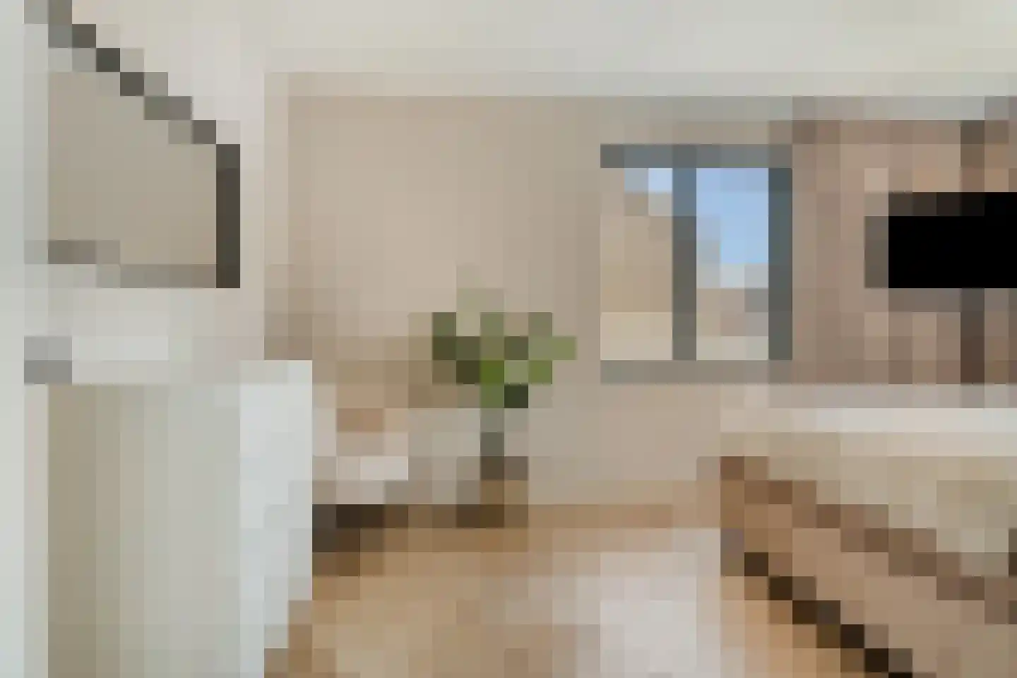 Kastelein 19 Wijchen thumbnail 24