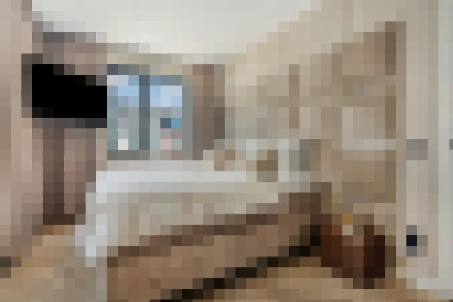 Kastelein 19 Wijchen thumbnail 25