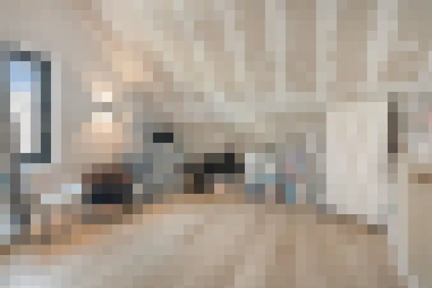 Kastelein 19 Wijchen thumbnail 38