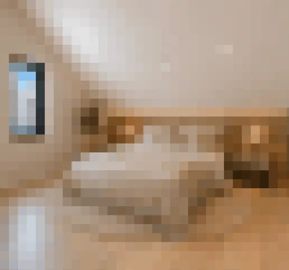 Kastelein 19 Wijchen thumbnail 39