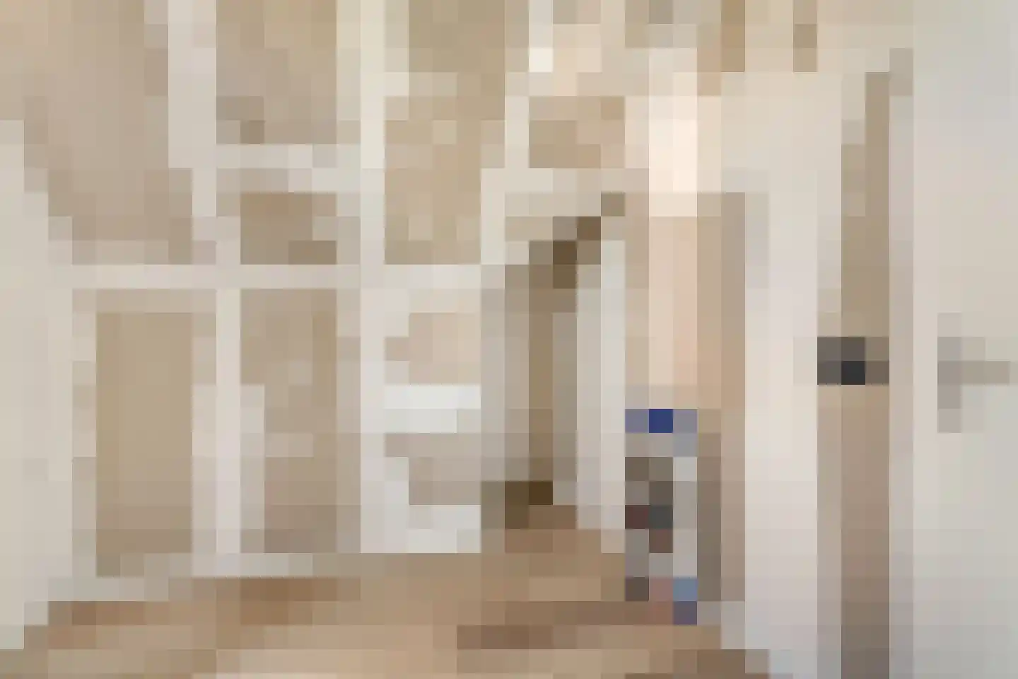 Kastelein 19 Wijchen thumbnail 42