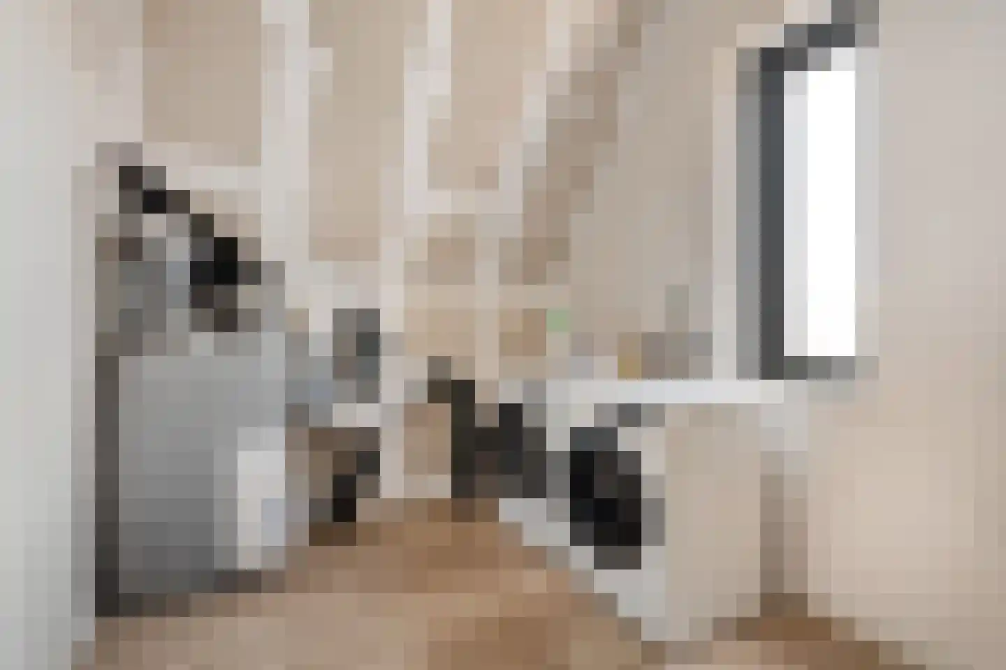 Kastelein 19 Wijchen thumbnail 44