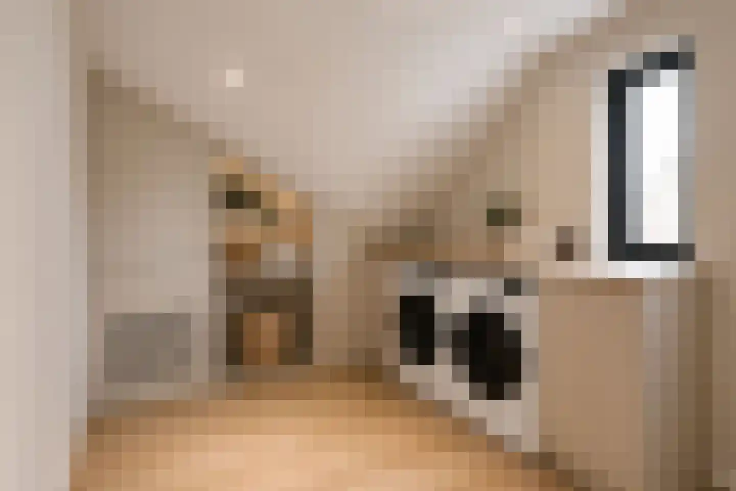 Kastelein 19 Wijchen thumbnail 45