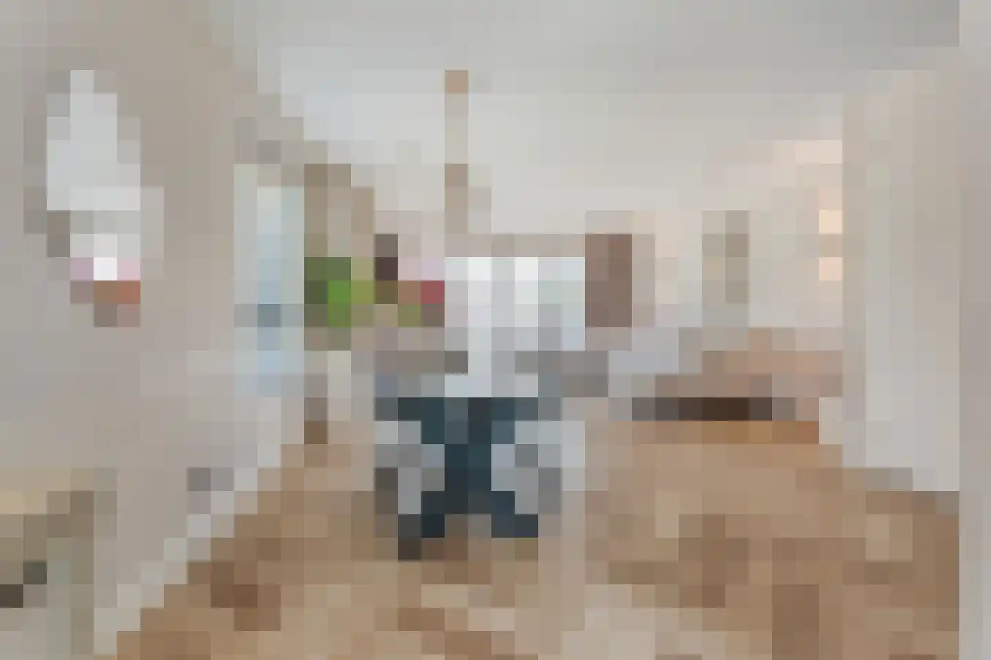 Kastelein 19 Wijchen thumbnail 5