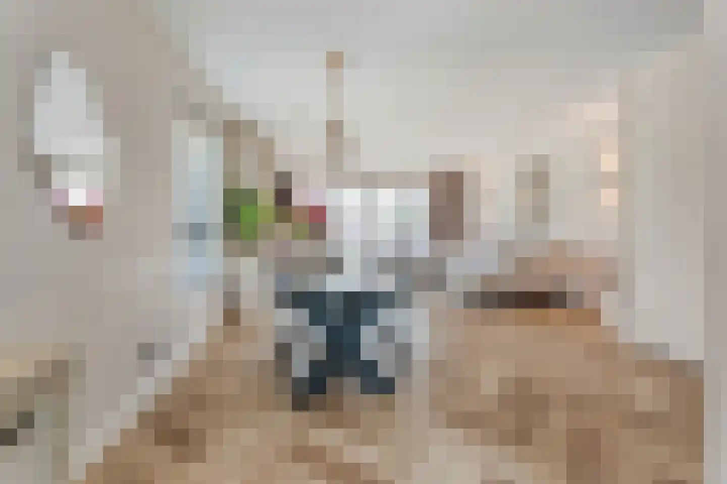 Kastelein 19 Wijchen thumbnail 5