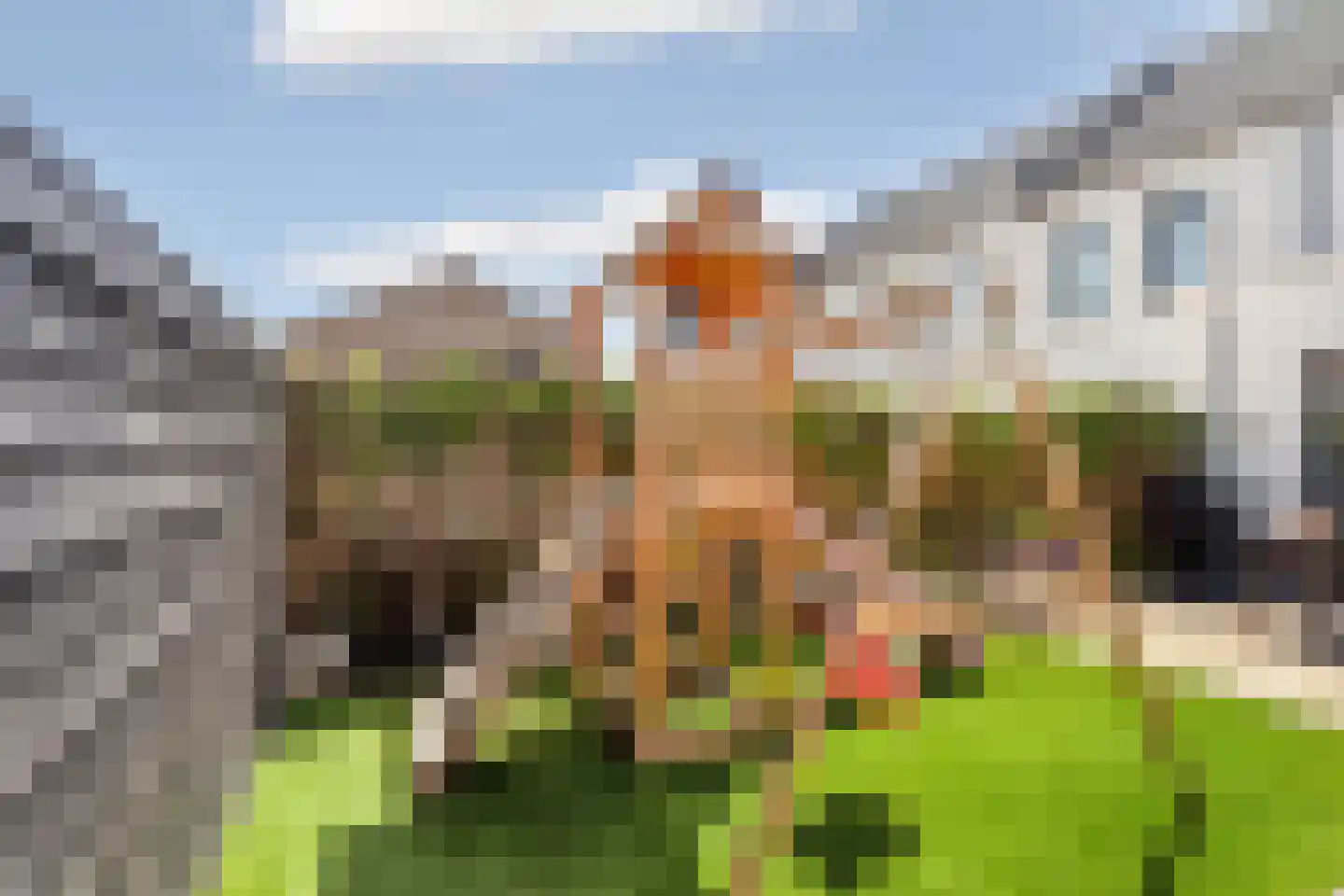 Kastelein 19 Wijchen thumbnail 52