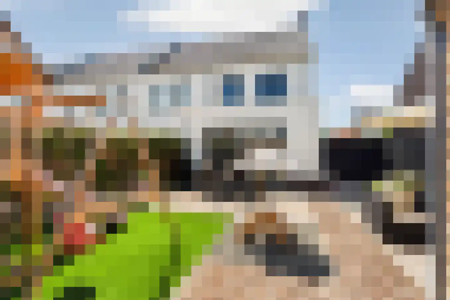 Kastelein 19 Wijchen thumbnail 53