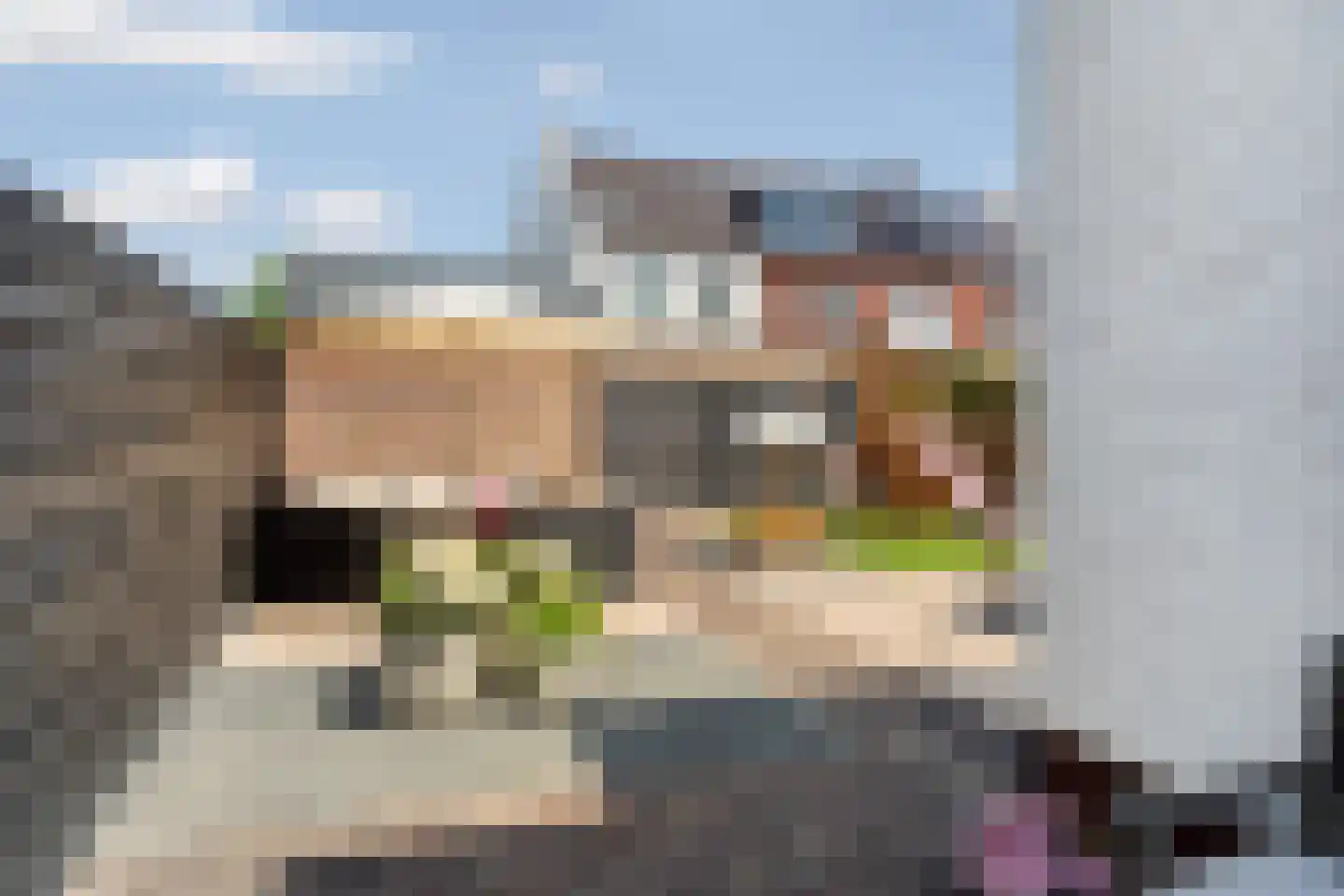 Kastelein 19 Wijchen thumbnail 55