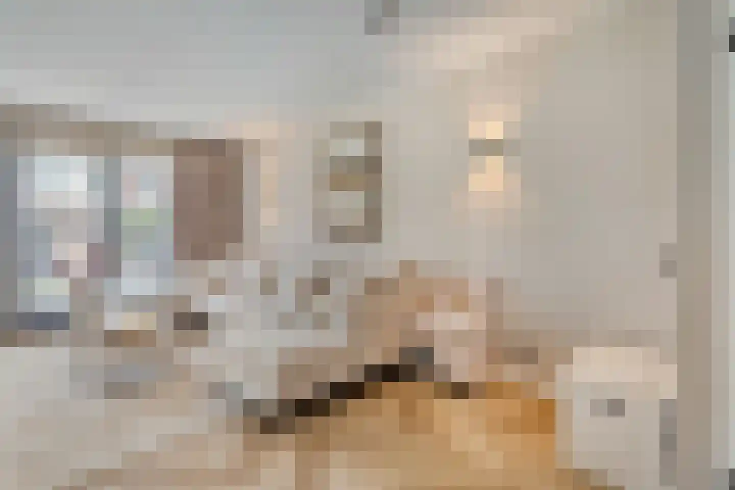Kastelein 19 Wijchen thumbnail 7