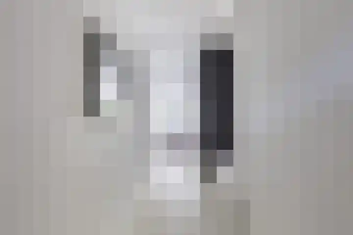 Kastelein 19 Wilnis thumbnail 10