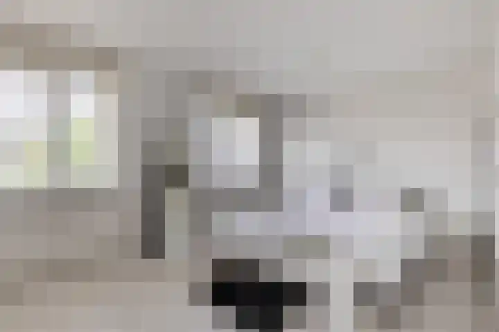 Kastelein 19 Wilnis thumbnail 13