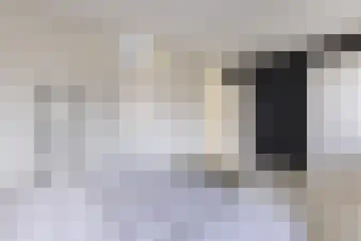 Kastelein 19 Wilnis thumbnail 14