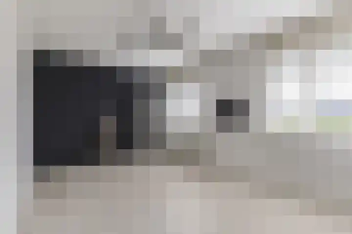 Kastelein 19 Wilnis thumbnail 15