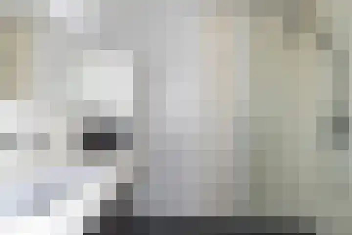 Kastelein 19 Wilnis thumbnail 17