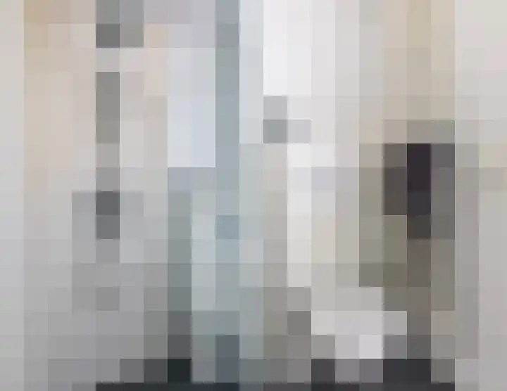 Kastelein 19 Wilnis thumbnail 18