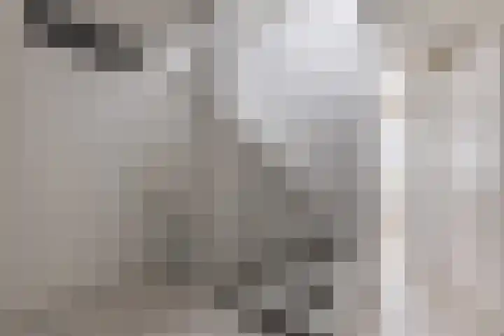 Kastelein 19 Wilnis thumbnail 19