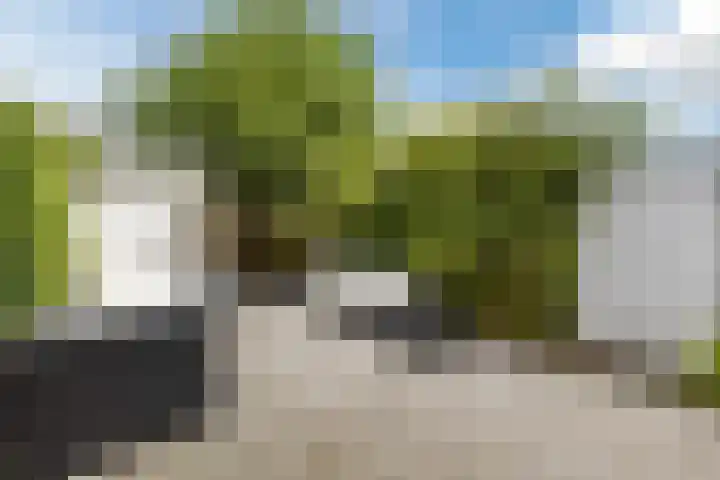 Kastelein 19 Wilnis thumbnail 22