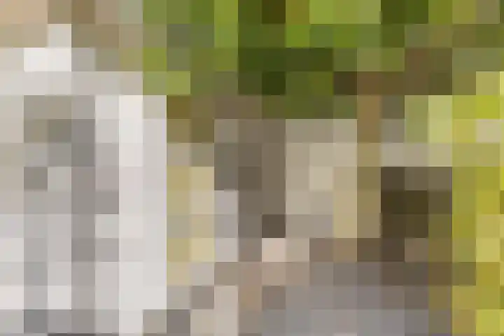 Kastelein 19 Wilnis thumbnail 23