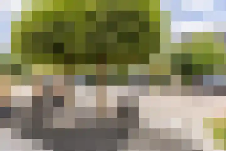 Kastelein 19 Wilnis thumbnail 26