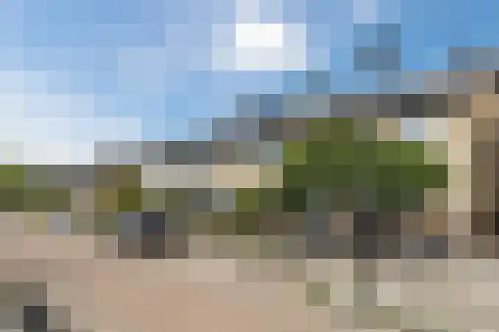 Kastelein 19 Wilnis thumbnail 28