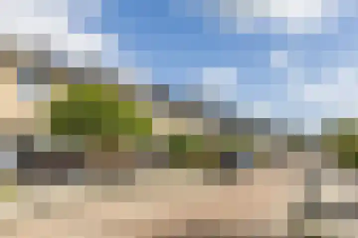 Kastelein 19 Wilnis thumbnail 29