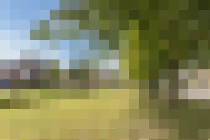 Kastelein 19 Wilnis thumbnail 30