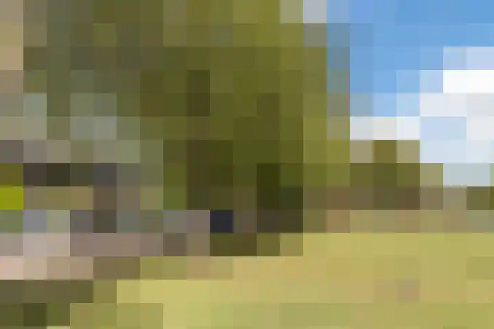 Kastelein 19 Wilnis thumbnail 31