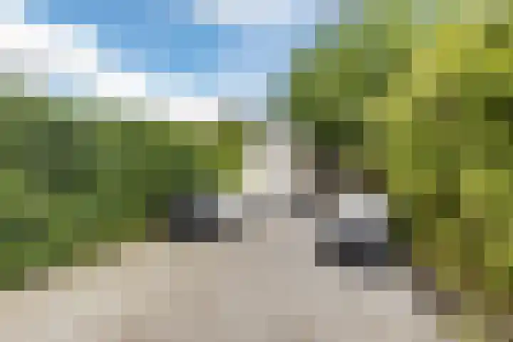 Kastelein 19 Wilnis thumbnail 4