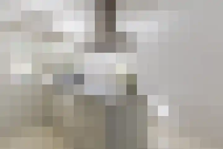 Kastelein 19 Wilnis thumbnail 5