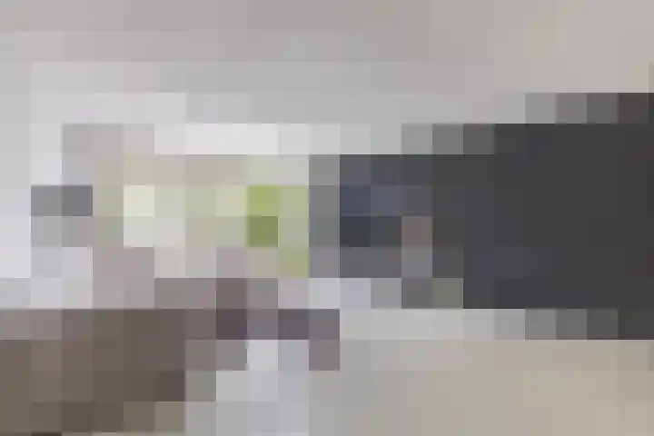 Kastelein 19 Wilnis thumbnail 7
